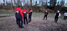 Bartın'da Irmağa Giren Yunus Kurtarılacak