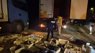 TIR'dan 300 Kasa Balık Düştü, Yol Kapandı!