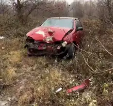Yola Atlayan Domuz, Otomobile Çarptı: Sürücü Yaralandı