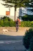 Bartın'da Güvercinle Köpek Eğitimi: Gözaltı