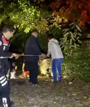 İlçede Irmağa Düşen Kişi Kurtarıldı