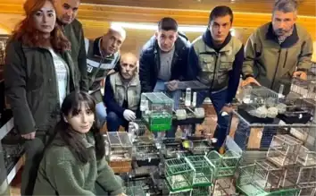 Kuş Ticaretine Baskın: Ağır Ceza