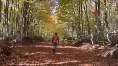 Sonbaharın Renkleri Küre Dağları'nda