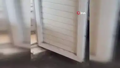 Nadir Su Samuru Görüntülendi!