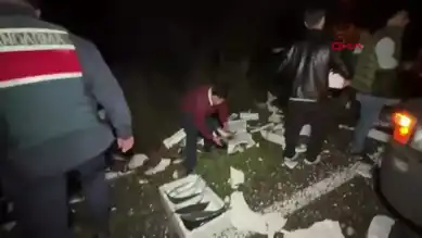 Palamutlar Yola Saçıldı, Trafik Kilitlendi!