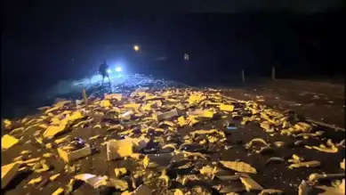 Tır Kazası: Tonlarca Balık Yolda!