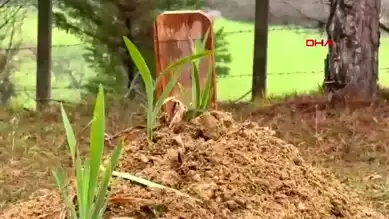 Zonguldak'ta Anne Tarafından Boğulan Çocuk Toprağa Verildi