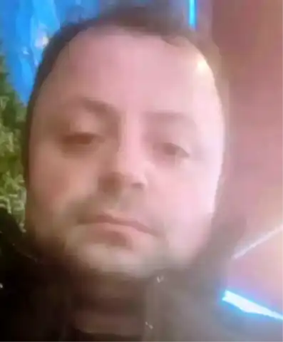 Genç İşçi Ağaç Düşmesi Sonucu Hayatını Kaybetti