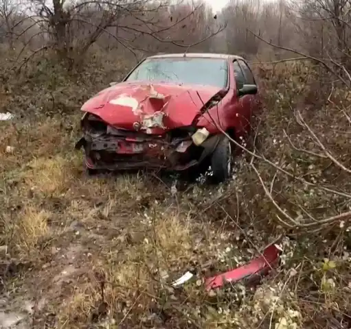 Yola Atlayan Domuz, Otomobile Çarptı: Sürücü Yaralandı
