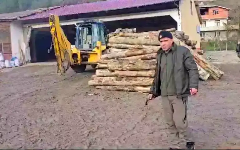 Bartın'da Ormancıya Saldırı İddiası: Kereste Fabrikası Sahibinin Açıklaması