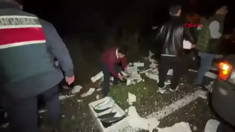 Palamutlar Yola Saçıldı, Trafik Kilitlendi!